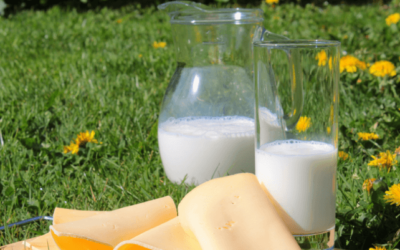 Laktózintolerancia és gluténérzékenység – okok, tünetek és kezelés